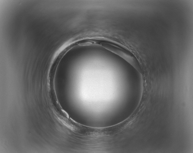 X0000081430246200701191629