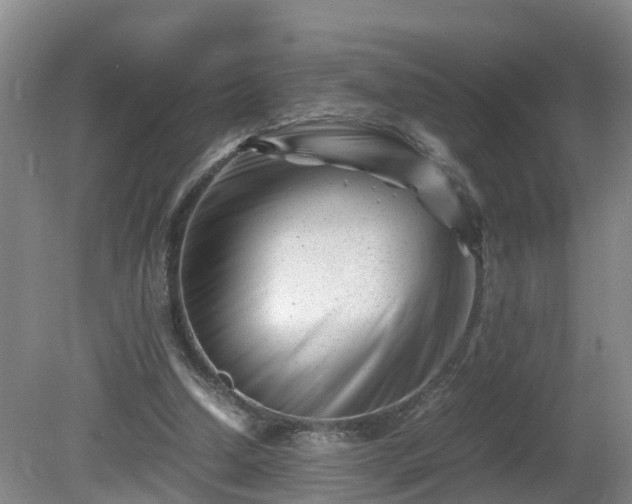 X0000081430250200701191629