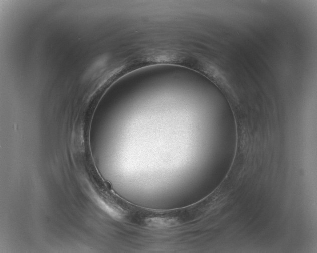 X0000081430251200701191629