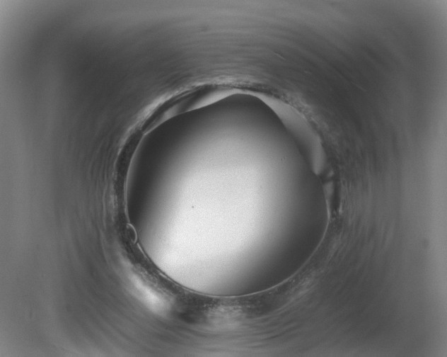 X0000081430252200701191629