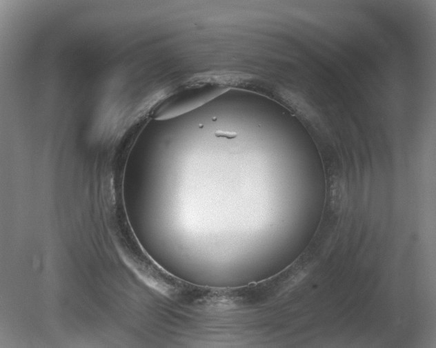 X0000081430254200701191629