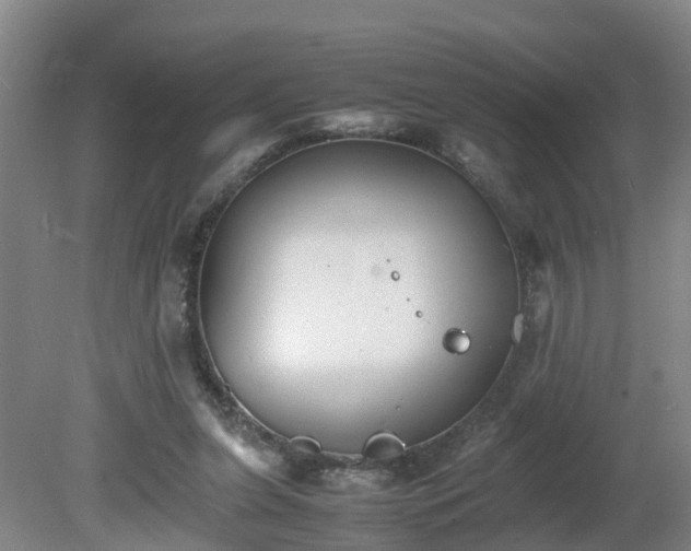 X0000081430255200701191629