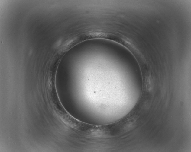 X0000081430259200701191629