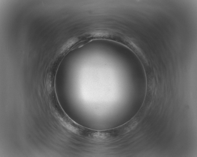 X0000081430261200701191629