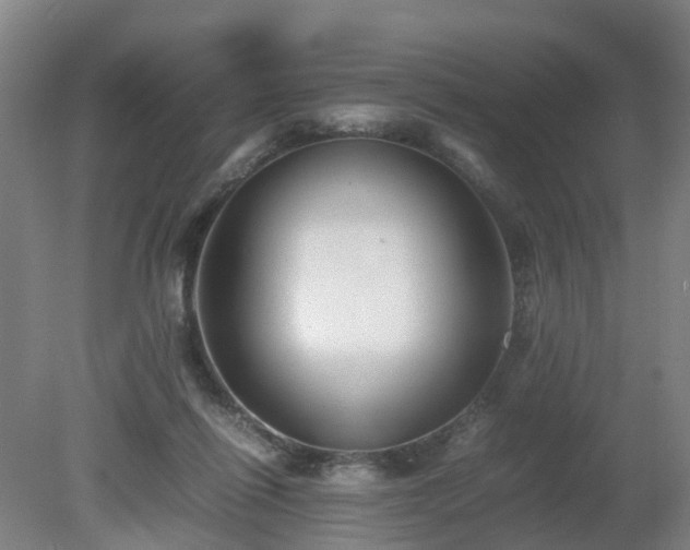 X0000081430262200701191629