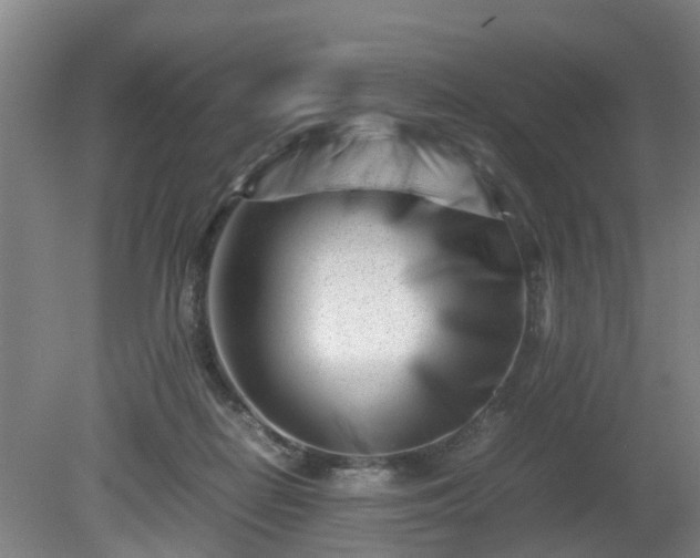 X0000081430266200701191629