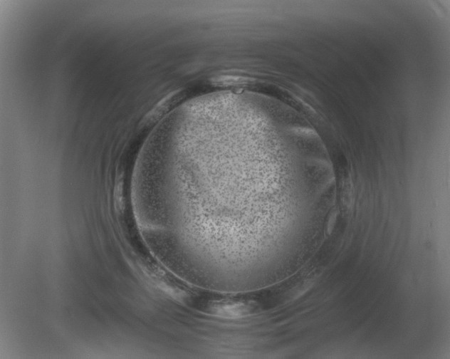 X0000081430267200701191629