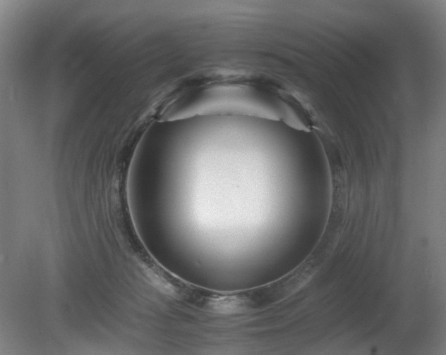 X0000081430269200701191629