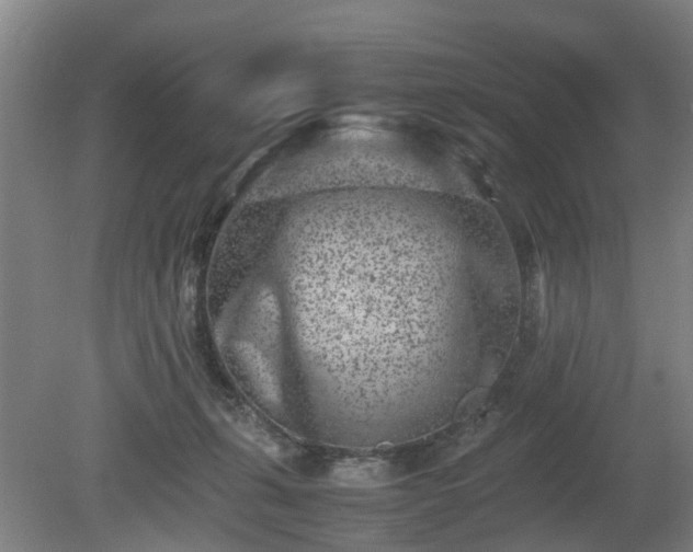 X0000081430271200701191630