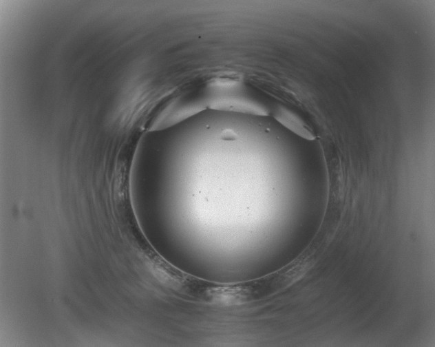 X0000081430273200701191630