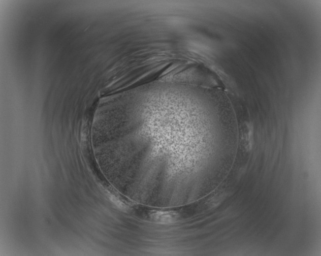 X0000081430277200701191630