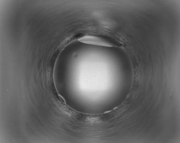 X0000081430283200701191630