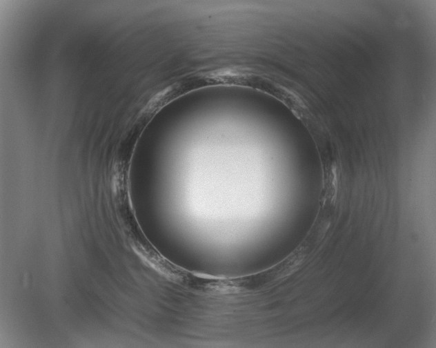 X0000081430284200701191630