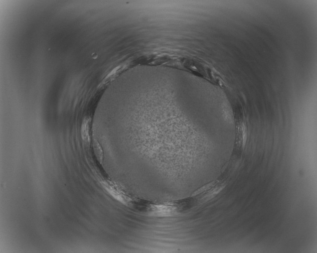 X0000081430286200701191630