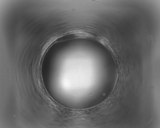 X0000081430289200701191629