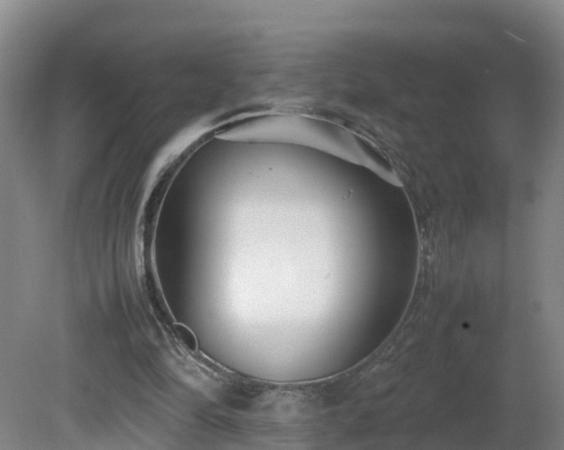 X0000081430294200701191629