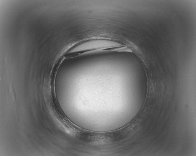 X0000081430298200701191629