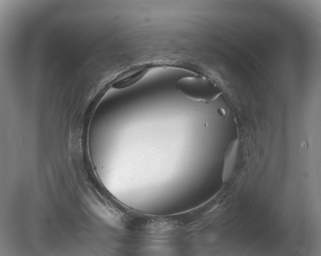 X0000081430299200701191629