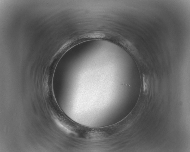 X0000081430300200701191629