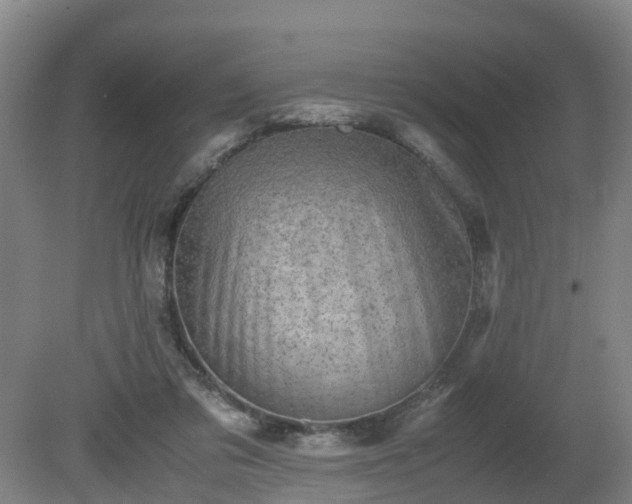 X0000081430309200701191629