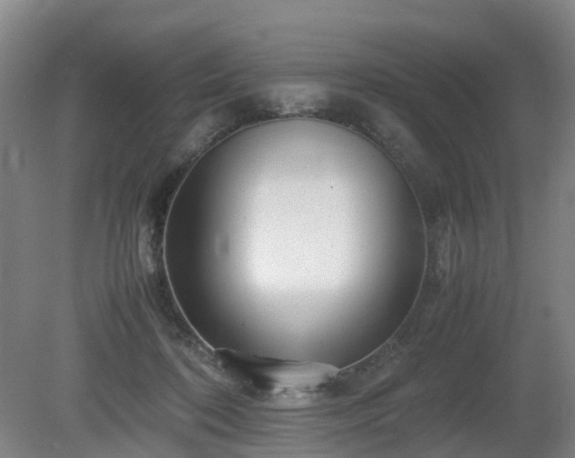 X0000081430316200701191629