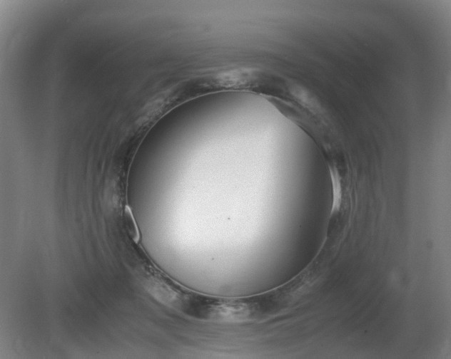 X0000081430317200701191629