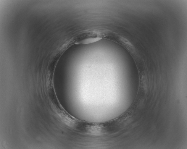 X0000081430318200701191629