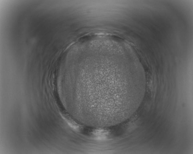 X0000081430319200701191628