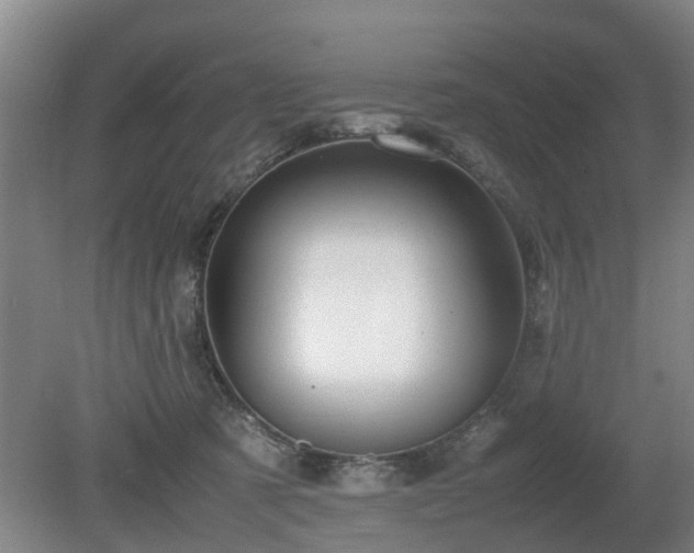 X0000081430321200701191628