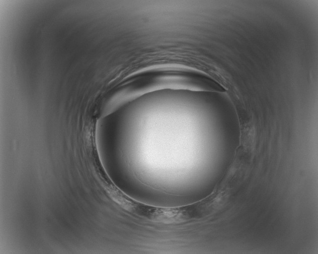 X0000081430329200701191628