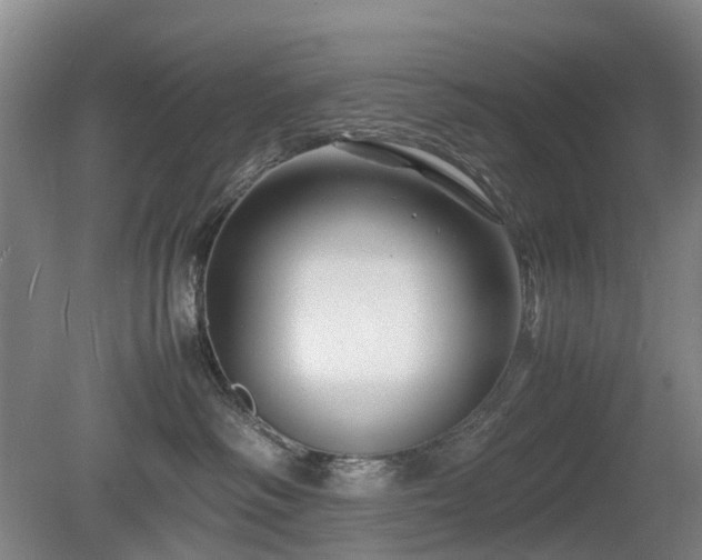 X0000081430334200701191628