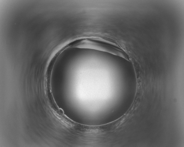 X0000081430342200701191627