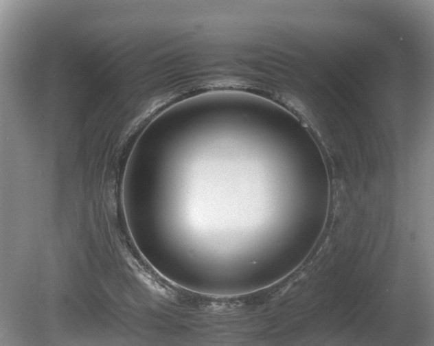 X0000081430345200701191628