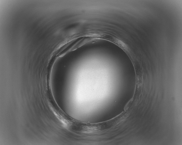 X0000081430349200701191628