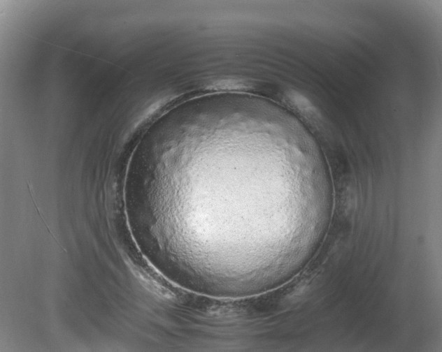 X0000081430351200701191628