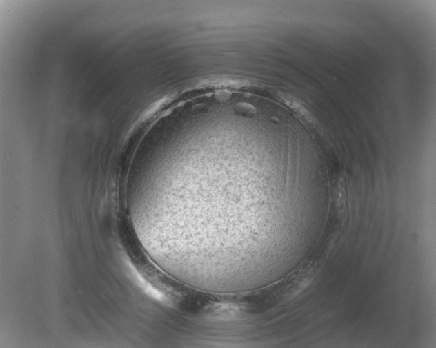 X0000081430352200701191628