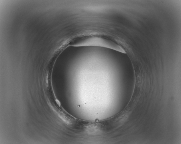 X0000081430358200701191628