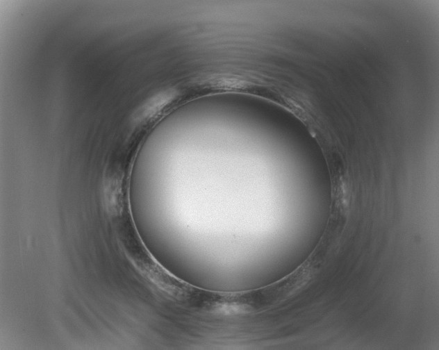 X0000081430360200701191628