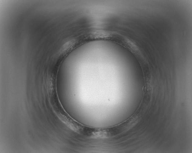 X0000081430362200701191628