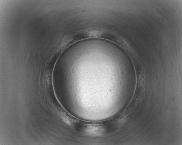 X0000081430363200701191628