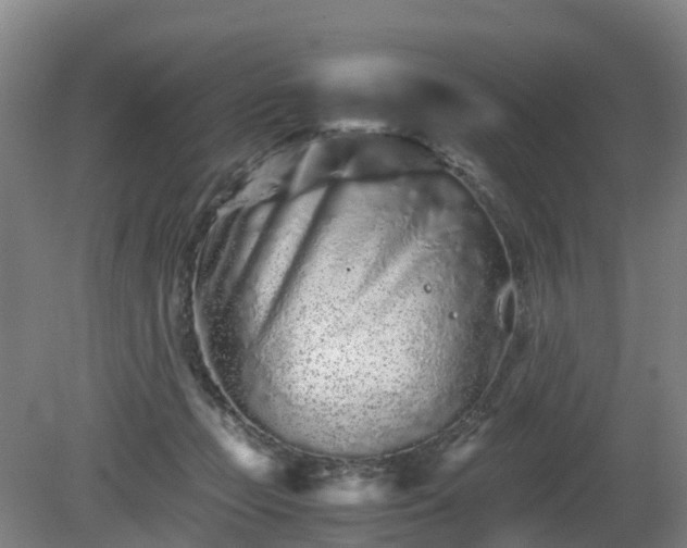 X0000081430365200701191628