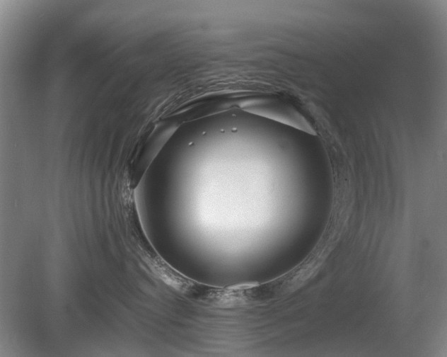 X0000081430384200701191628