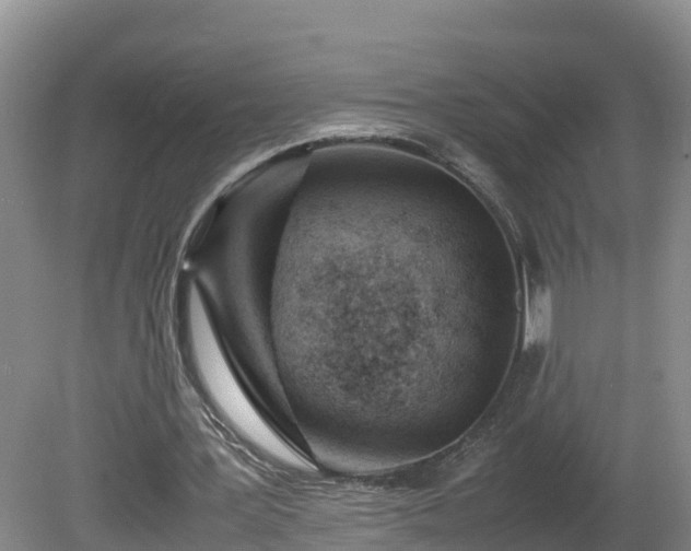 X0000081430387200701191627