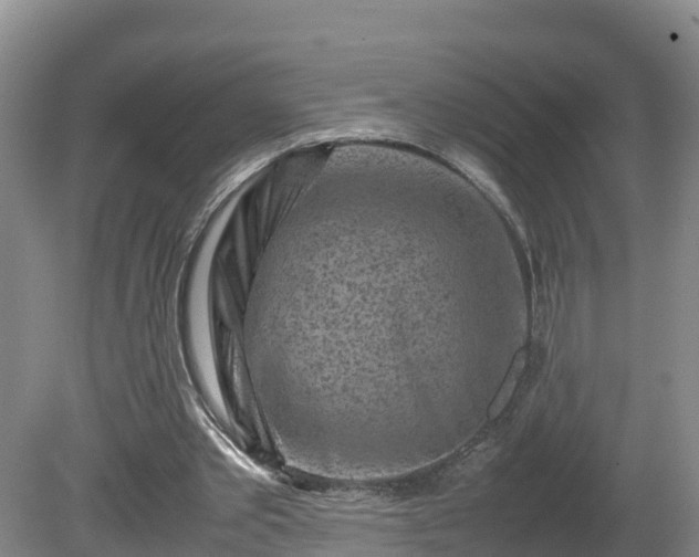 X0000081430389200701191627