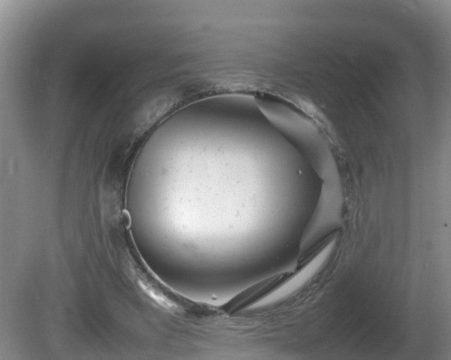 X0000081430393200701191627
