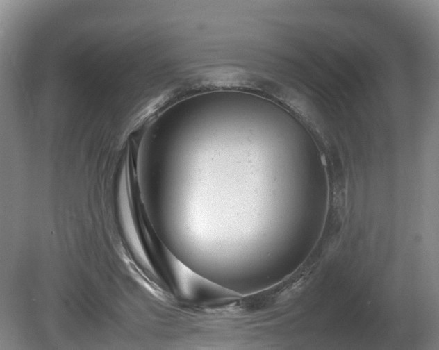 X0000081430397200701191627