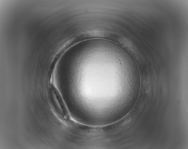 X0000081430398200701191627
