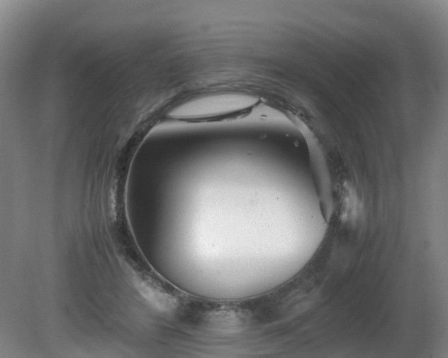 X0000081430404200701191627