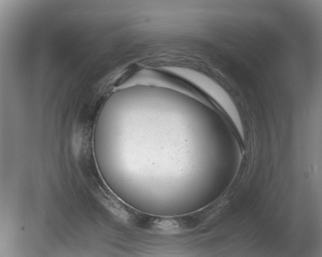 X0000081430409200701191627