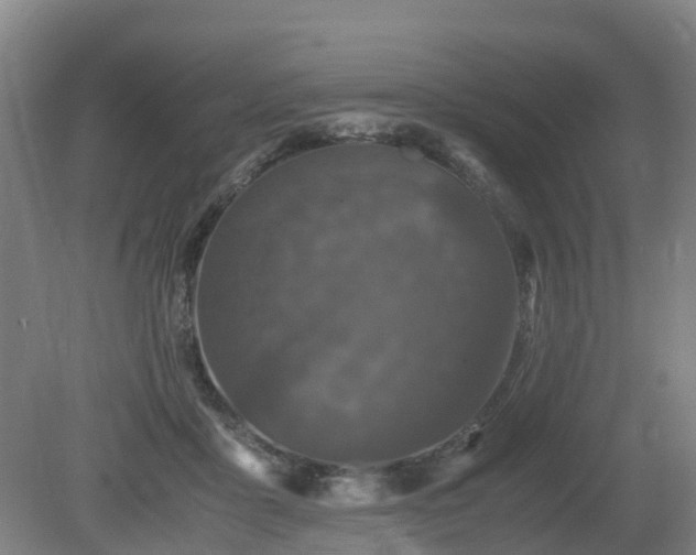 X0000081430411200701191627